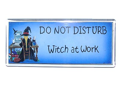 Do Not Disturb Witch at Work Magnet